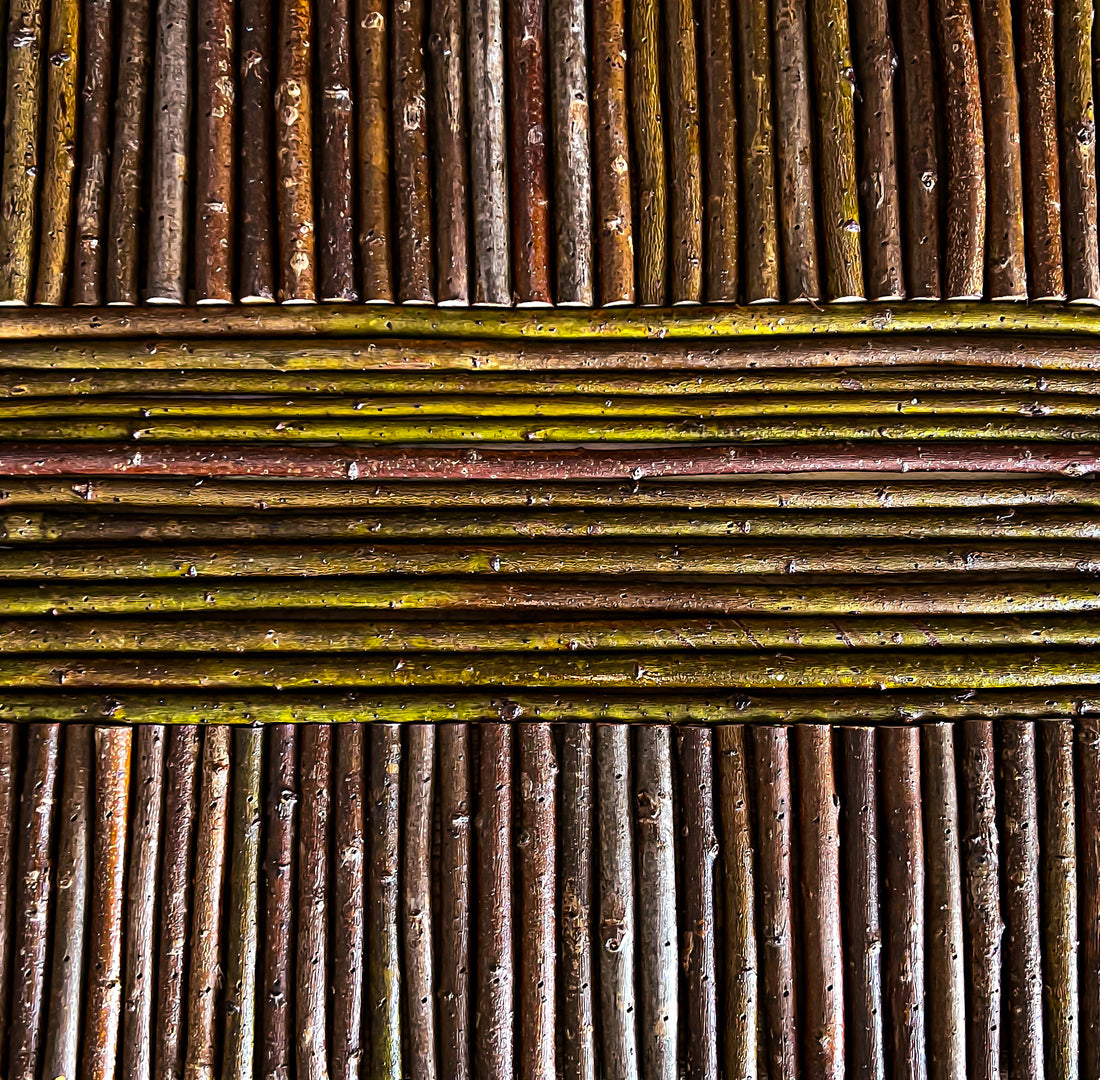From the Woods to the Wood Shop…